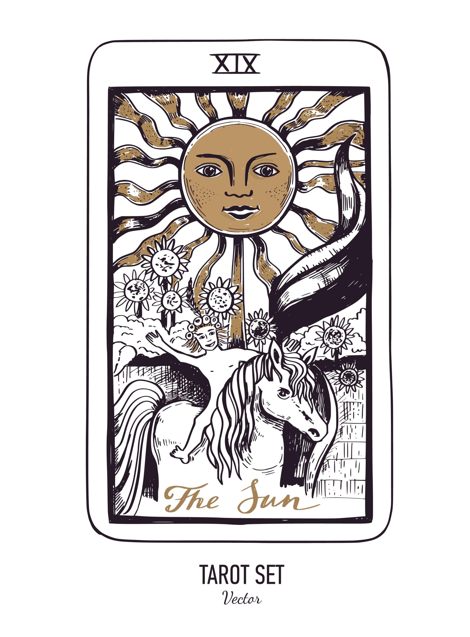 The sun